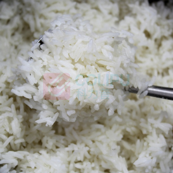 力源 大米 茉莉香米 5kg  真空包装