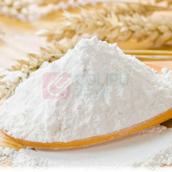 香满园 高筋精粉 5kg 
