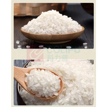 金龙鱼 御品珍珠米 梗米 东北大米家庭装小袋米 500G 