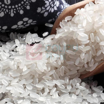 金龙鱼 鲜萃长粒香米 5KG/袋 