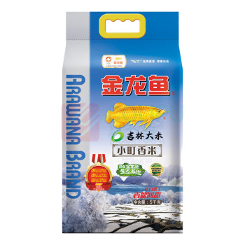 金龙鱼 小町香米 5kg 