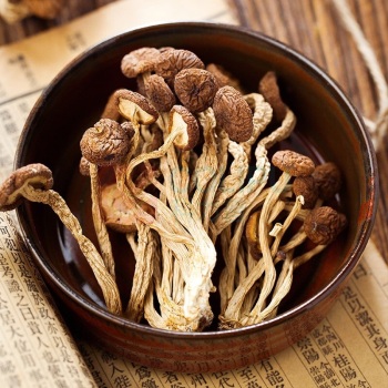 方家铺子 菌菇干货礼盒卓礼 726g