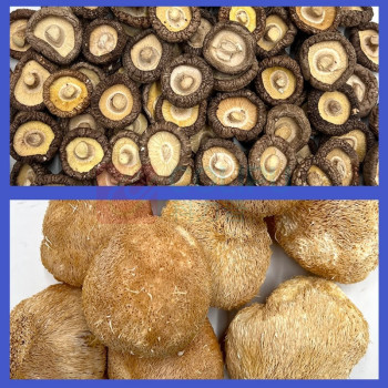 腾盛 沐语山菌礼盒 MYSJ103 B款1.03kg