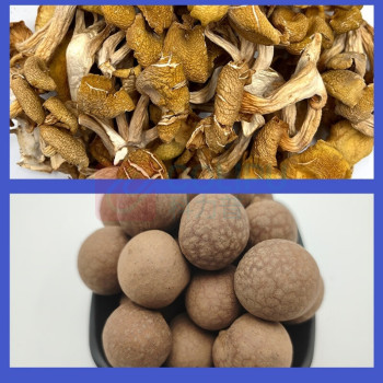 腾盛 沐语山菌礼盒 MYSJ103 B款1.03kg