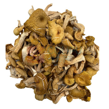 腾盛 山珍寻味礼盒 SZXW650 650g