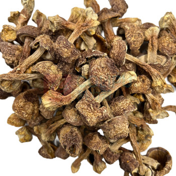 腾盛 山珍寻味礼盒 SZXW650 650g