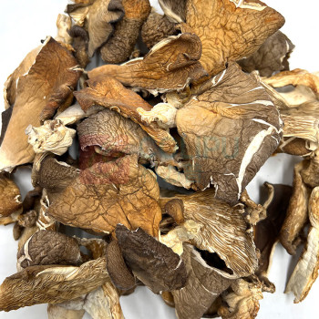 腾盛 锦绣菌礼礼盒 JXJL116 1.16kg