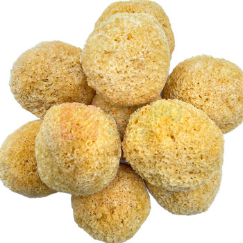 腾盛 山珍礼遇礼盒 SZLY800 800g