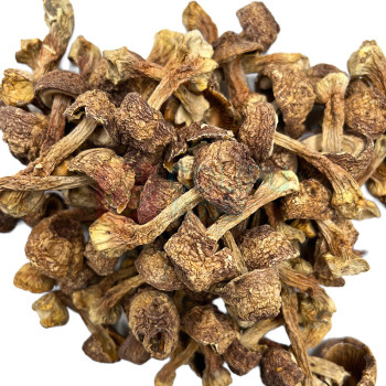 腾盛 山珍礼遇礼盒 SZLY800 800g