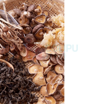 初萃 CHUCUI 中粮初萃山珍菌菇花冬菇黑木耳茶树菇银耳香信菇组合 580g