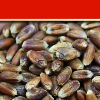 绿帝 GREEN KING 黑五谷礼盒2800g 6932041217984 34*18*20