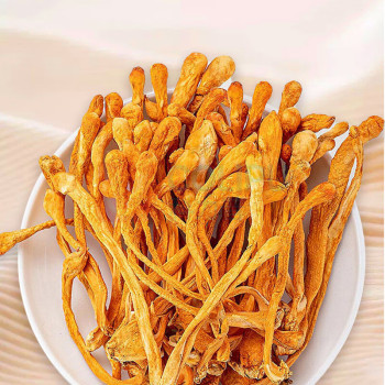 啟泰 蛹虫草 190g/盒