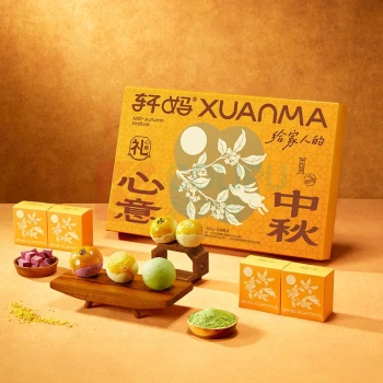 轩妈 心意中秋礼盒 450g