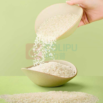 元祖 端午安康粽子礼盒 1010g