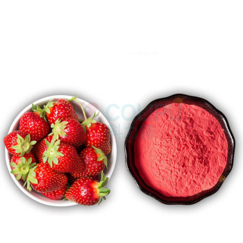 谷本道元 草莓粉 150g