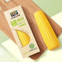 北纬47° 有机水果玉米甜玉米 200g*10根