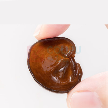 方家铺子 耳片黑木耳 /瓶装 180g