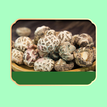 绿帝 GREEN KING 山肴佳品菌菇类礼盒 490g/盒