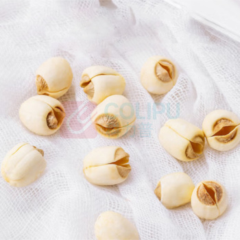 啟泰 莲子 袋装 250g*2包