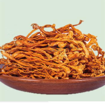 腾盛 菌悦礼礼盒 590g