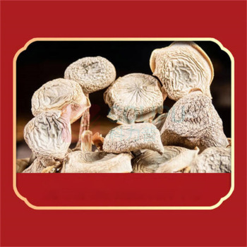 绿帝 GREEN KING 山海甄品海产菌菇干货礼盒 325g