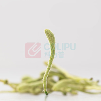 方家铺子 金银花 70g/罐