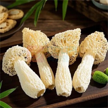 腾盛 山菌臻品礼盒 580g