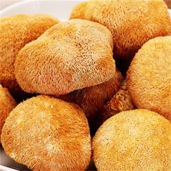腾盛 山菌臻品礼盒 580g