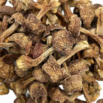 腾盛 菌汤煲搭档礼盒 360g