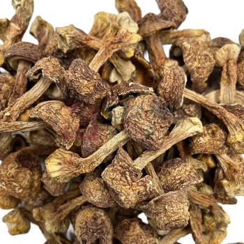 腾盛 山海御宴B礼盒 490g