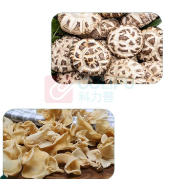 腾盛 深山寻珍礼盒 800g