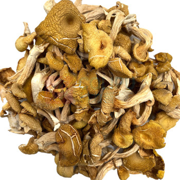 腾盛 山菌宴品礼盒 600g