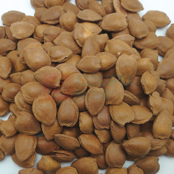 腾盛 浪漫果礼礼盒 1.65kg