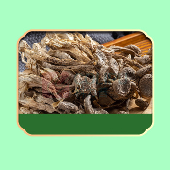 绿帝 GREEN KING 山肴佳品菌菇类礼盒 490g