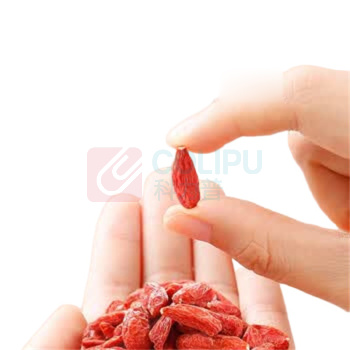 杞里香 头茬特优级甄选贡果140枸杞 500g 250g*2