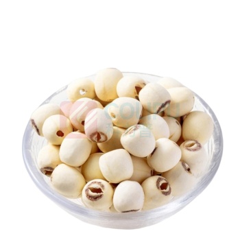 方家铺子 六星莲子通芯白莲子 250g/罐
