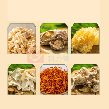 腾盛 菌悦礼菌菇干货六件套 520g