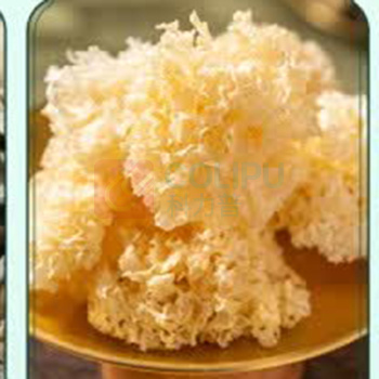 腾盛 深山寻珍菌菇山珍八件套 800g