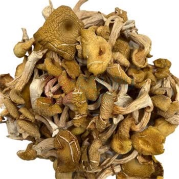 腾盛 山语锦礼 菌菇干货九件套 860g