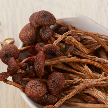 初萃 CHUCUI 中粮山珍礼盒菌菇礼盒 360g/盒