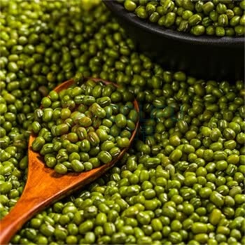 绿帝 GREEN KING 绿豆 2500g 袋装