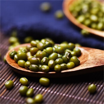 绿帝 GREEN KING 绿豆 2500g 袋装
