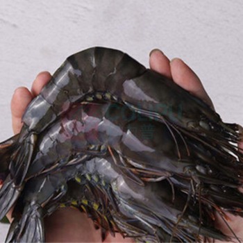 正大 泰国黑虎虾 1.4kg