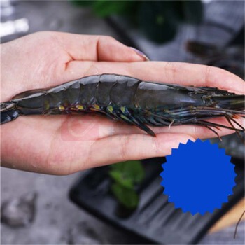 正大 泰国黑虎虾 1.4kg