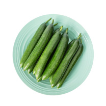 百果园 三个零甜指水果黄瓜 3斤家庭装 (单果重:≥45g,净重:1.5kg)