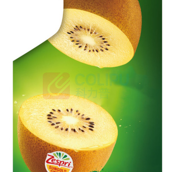 佳沛 ZESPRI 新西兰金果大果22个装 140g左右 