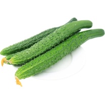 国产 黄瓜 500g
