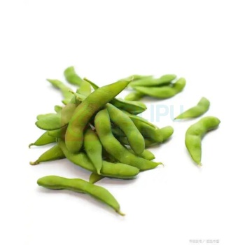 国产 毛豆 500g