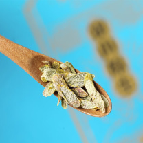 斛生记 铁皮石斛切片霍山原生石斛花礼盒装 绝代双骄 50g