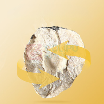 杞里香 玛卡黑玛咖片 500g (250g*2罐)
